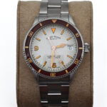 Armand Nicolet VS1 - imagine 14