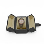 Armand Nicolet VS1 - imagine 25