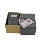 Armand Nicolet VS1 - imagine 27